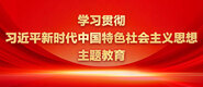 亼夿操屄的视频学习贯彻习近平新时代中国特色社会主义思想主题教育_fororder_ad-371X160(2)